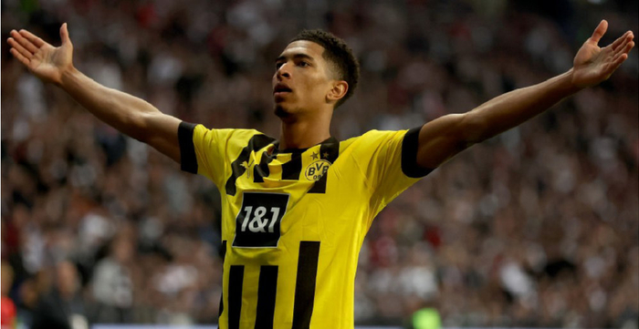 是他们的爱 是他们的爱