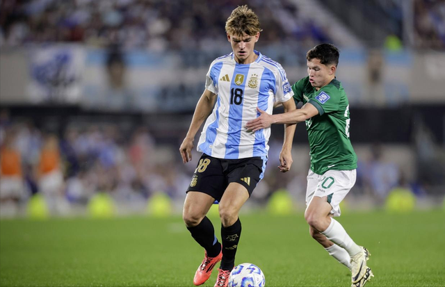 年轻球员黄 年轻球员黄