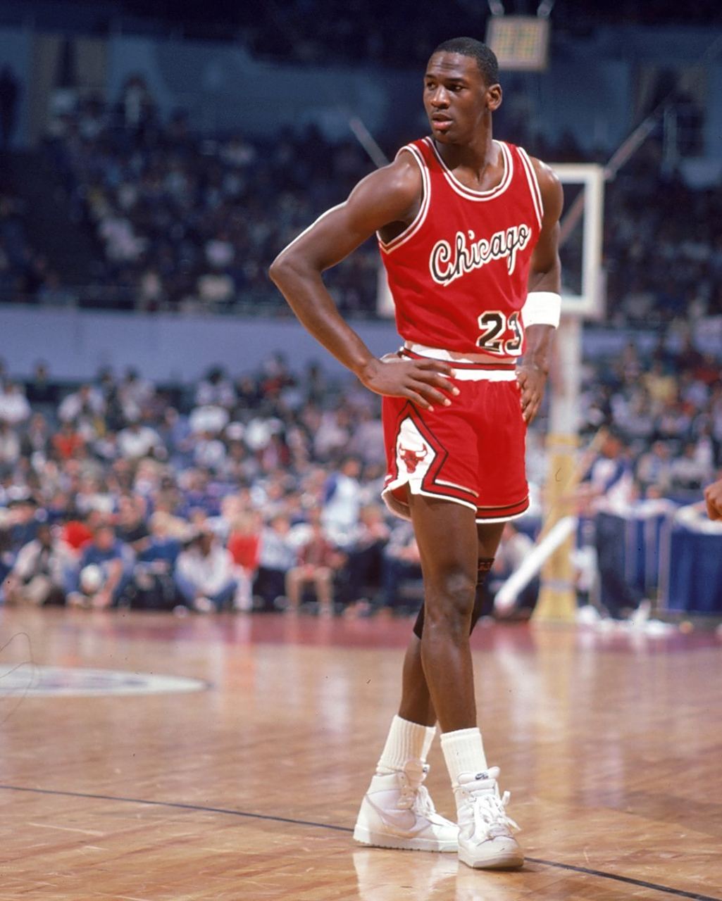 都是品牌在 都是品牌在