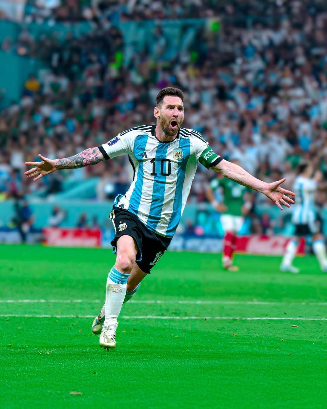 正是这种专 正是这种专