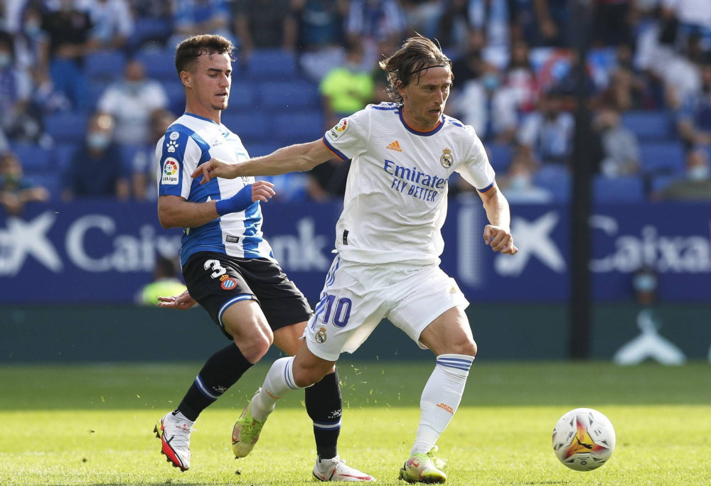 篮球职业生 篮球职业生