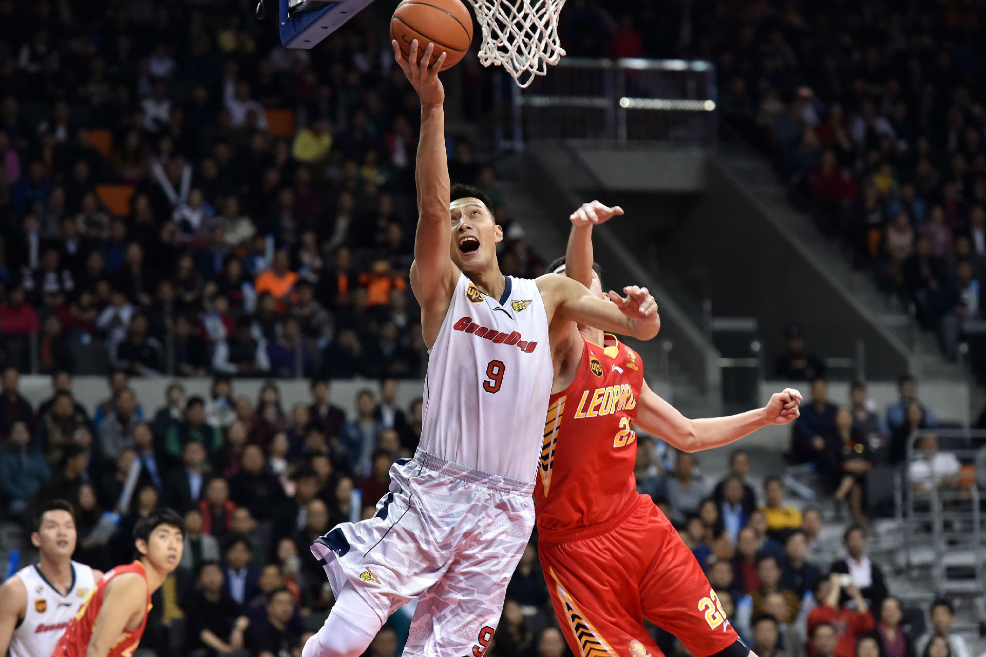 不仅吸引了 不仅吸引了